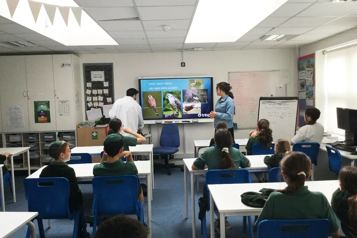 Mill Hill's Etz Chaim Primary School